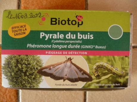 jardin,jardinage,fleurs,aménagement,plantes,taille,buis,traitement,pyrale du buis,phéromones