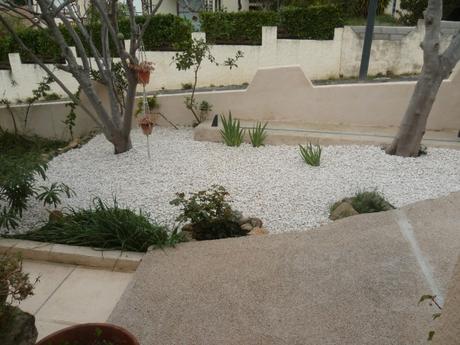 P1090846 après Gravier 18 03 22.JPG