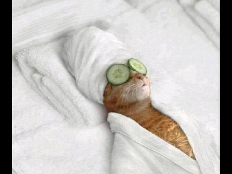 Divers- Art et Suréalisme - 4