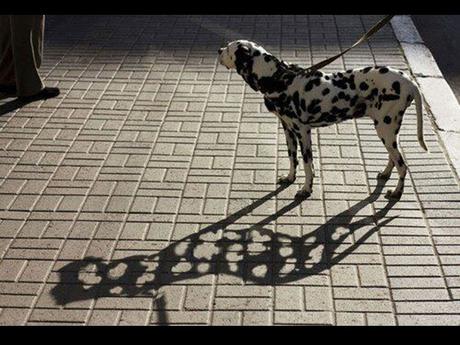 Divers- Art et Suréalisme - 4