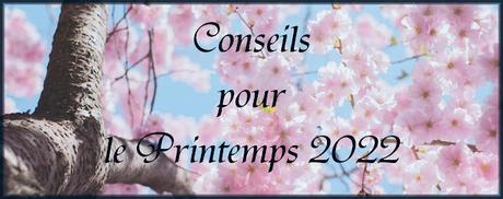 #19 Conseils pour le Printemps