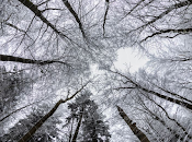 coté magique printemps