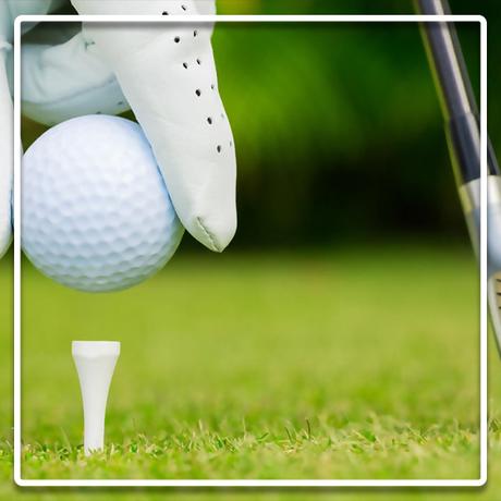 Pas de PGA Tour de la part d’EA cette année…encore ! pas de pga tour cette annee