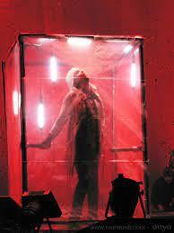 Loup Dans La Peau d'un Loup Loup Dans La Peau d'un Loup