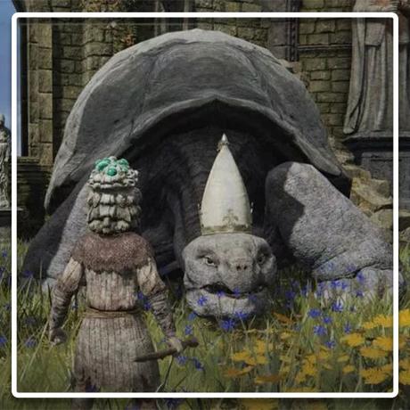 Elden Ring : des joueurs tuent un PNJ trop sympathique, la communauté n’apprécie pas ! tuer une tortue dans elden ring interdit