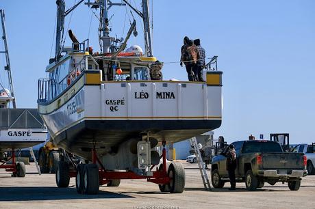 Mise à l’eau des crabiers…