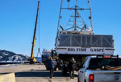 Mise à l’eau des crabiers…