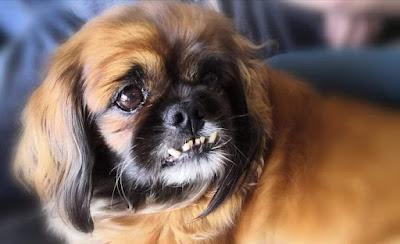 Je danse avec Mia Je danse avec Mia