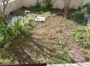 Derniers travaux jardin vendredi