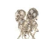 (Anthologie permanente), Jean-Pascal Dubost, Phrases mort