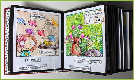 Mini pour les Polaroid…