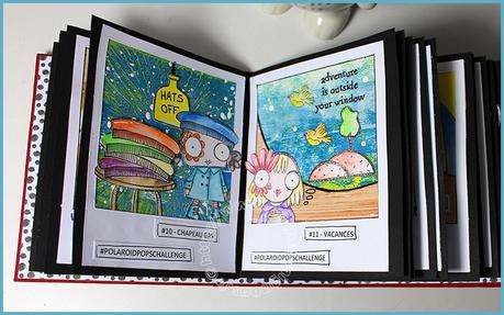 Mini pour les Polaroid…