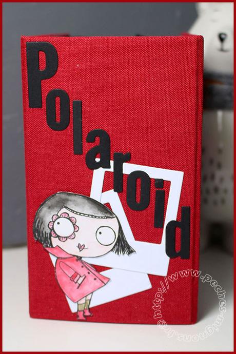 Mini pour les Polaroid…