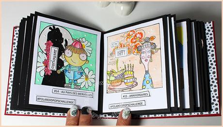 Mini pour les Polaroid…