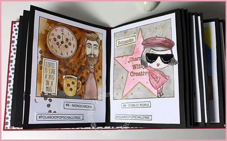 Mini pour les Polaroid…