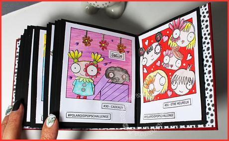 Mini pour les Polaroid…