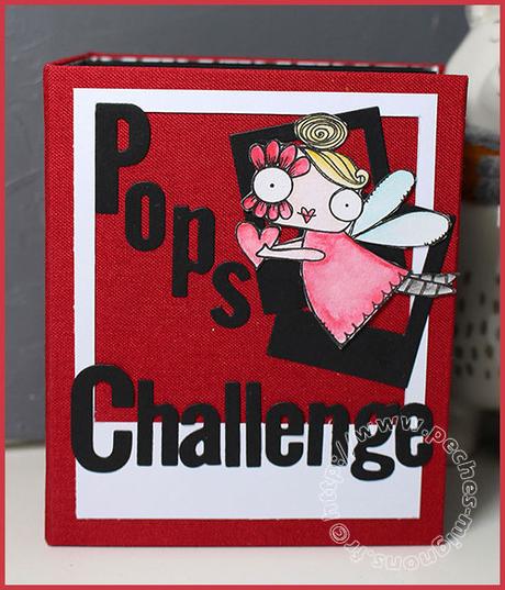 Mini pour les Polaroid…