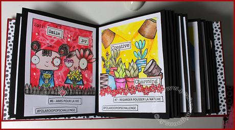 Mini pour les Polaroid…