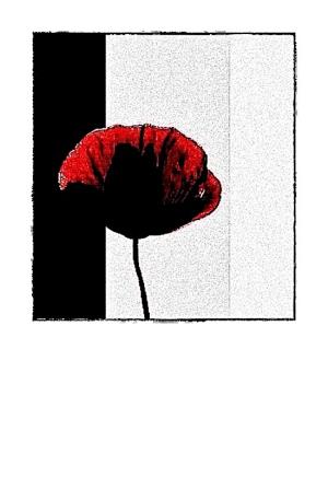 Coquelicot