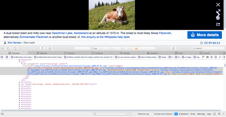 Comment modifier des pages Web sur Safari à l’aide d’Inspect Element website_image_code.jpeg