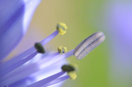 Printemps des poètes Printemps des poètes