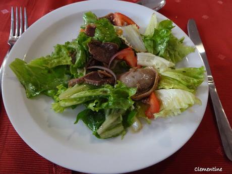 Elevage de canards à Mézerville et Restaurant Le France à Castelnaudary pour le fameux cassoulet