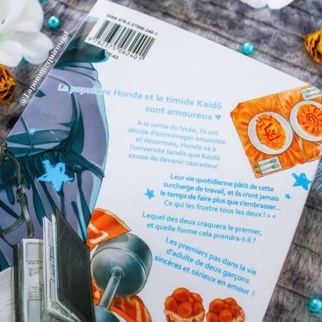 My hero’s dream, tome 2 à 4