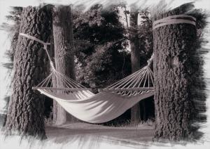 Louise Glück / Nuit de foi et de vertu ( Extrait )