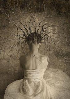 Arbres en conscience Arbres en conscience