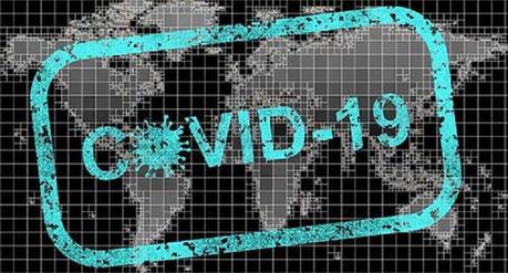 Gestion de la crise du covid : la France au tableau d’honneur !