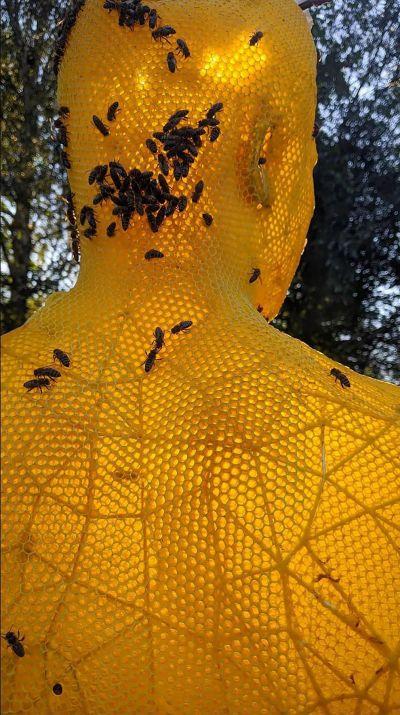 Sculptures par des abeilles de Tomáš Libertíny