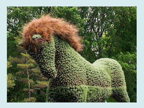 Pays Etranger - Montréal et ses Mosaïques - 1