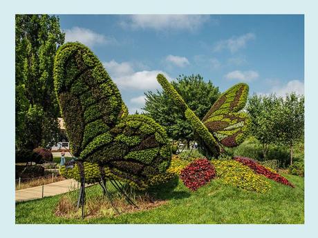 Pays Etranger - Montréal et ses Mosaïques - 1