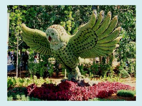 Pays Etranger - Montréal et ses Mosaïques - 1