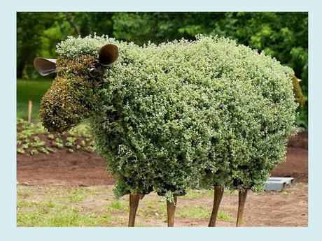 Pays Etranger - Montréal et ses Mosaïques - 1