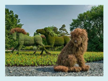 Pays Etranger - Montréal et ses Mosaïques - 1