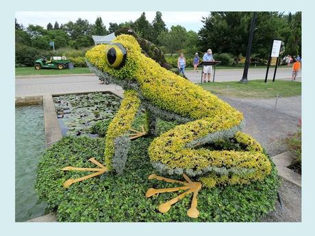 Pays Etranger - Montréal et ses Mosaïques - 1