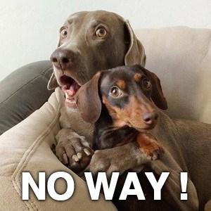 Ces abominables et méchantes entreprises qui osent rester en Russie Ces abominables et méchantes entreprises qui osent rester en Russie