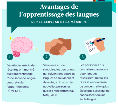Apprendre une nouvelle langue permet-il d’améliorer la mémoire ? Apprendre une nouvelle langue permet-il d’améliorer la mémoire ?