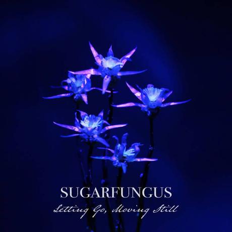 EP - SUGARFUNGUS - Letting Go, Moving Still
