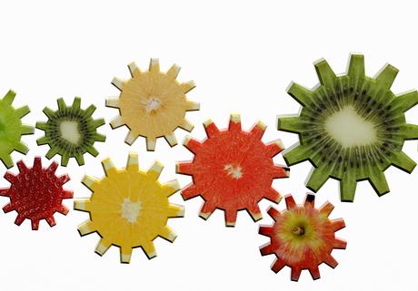 Cette équipe de l’Université d’Arizona identifie une région du cerveau associée à la sensation de satiété après le repas (Visuel Adobe Stock 78985159) Cette équipe de l’Université d’Arizona identifie une région du cerveau associée à la sensation de satiété après le repas (Visuel Adobe Stock 78985159)