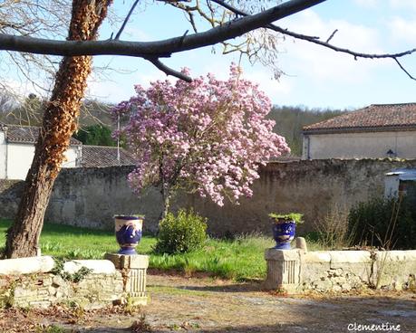 Abbaye Cathédrale de St.-Papoul
