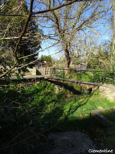 Abbaye Cathédrale de St.-Papoul