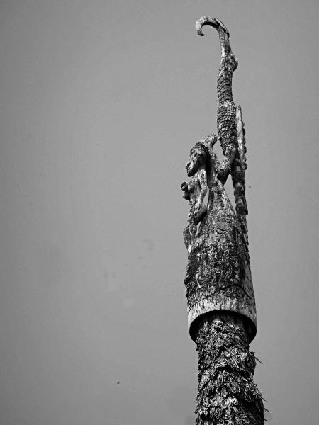 4.Fleche-faitiere-Kanganamam2018-450 4.Fleche-faitiere-Kanganamam2018-450