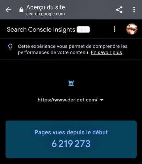 Nombre de pages vues sur ce site depuis sa création. Source Google Search Console