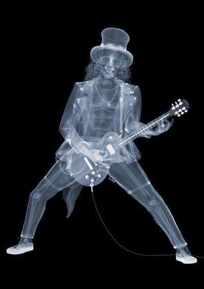 Photographies aux rayons X de Nick Veasey