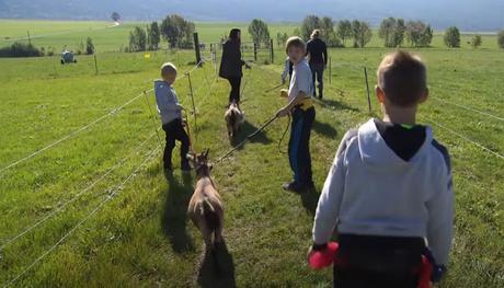 Des animaux pour aider les enfants en difficulté (vidéo)