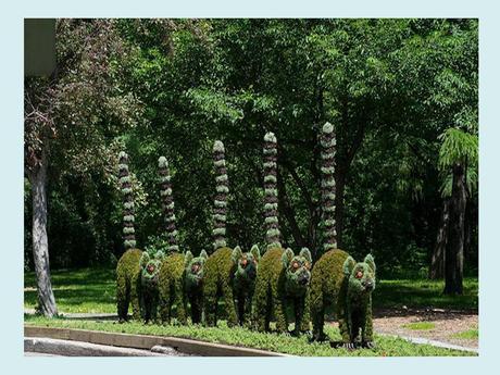 Pays Etranger - Montréal et ses Mosaïques - 2