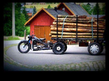 Divers - Images insolites - 2