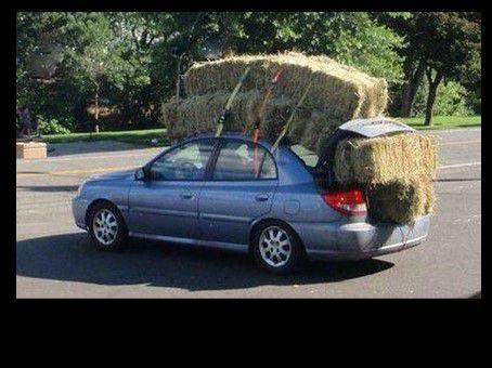 Divers - Images insolites - 2